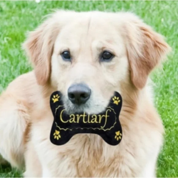 Dog 🐶 Toy - Picture 3 of 3